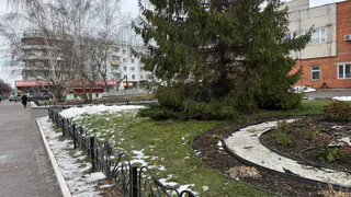 Возвращение к зиме: Гидрометцентр изменил прогноз с 25 мая — снова вернутся морозы и снег