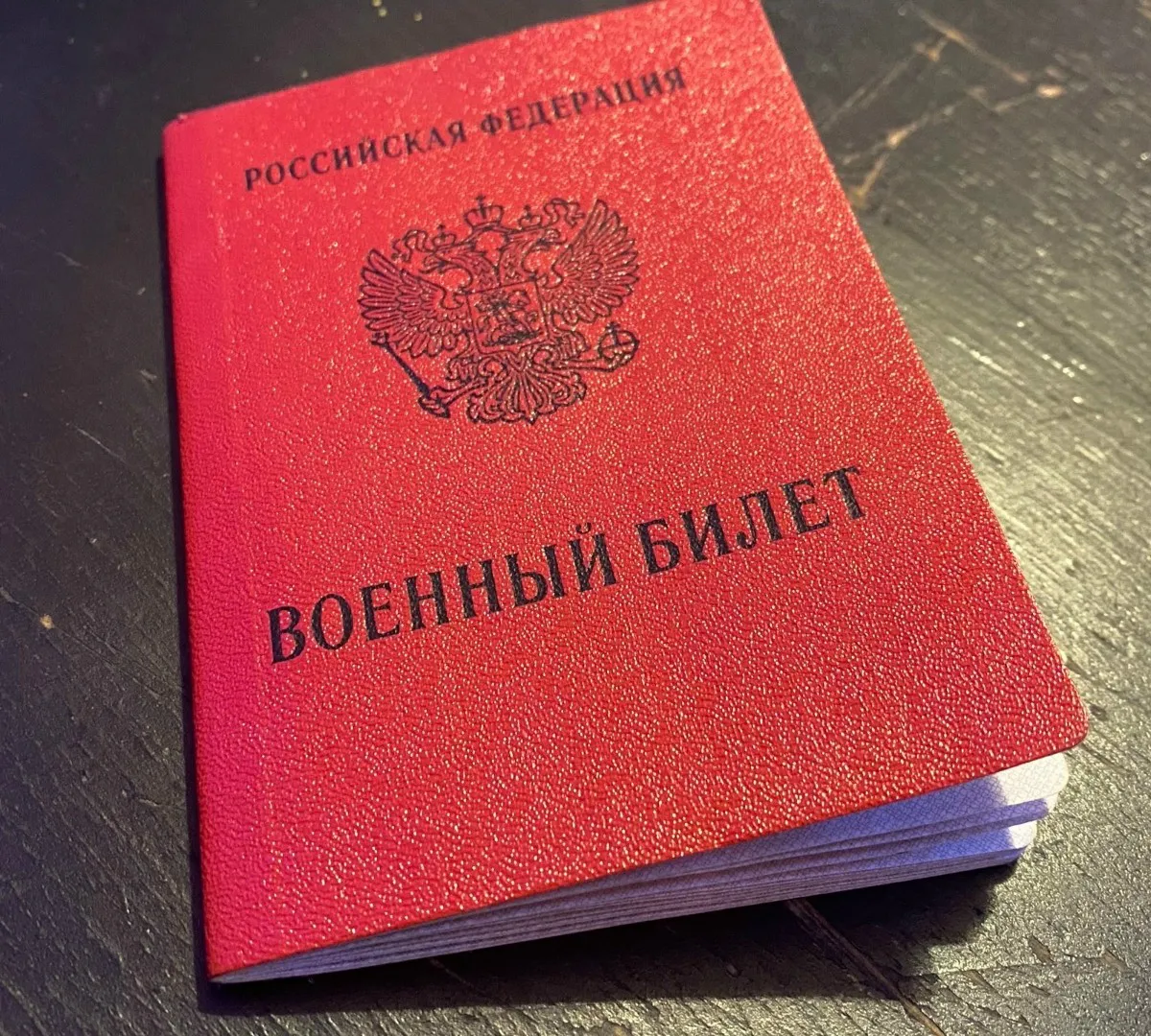 В Пензе расширили список профессий для альтернативной гражданской службы