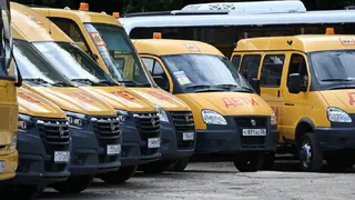 В Пензе с 1 сентября на линию выйдут 20 автобусов, которые будут перевозить 838 детей