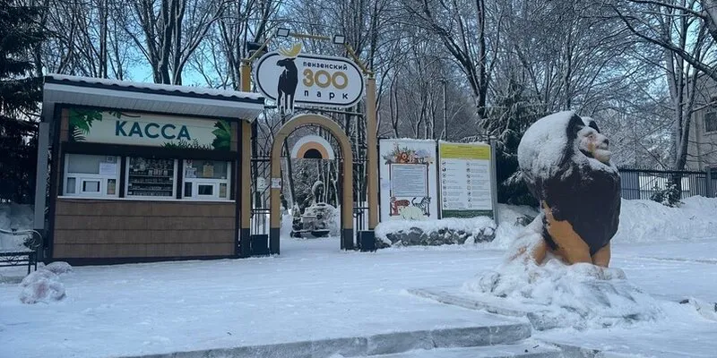 Пензенцам рассказали появится ли жираф в местном зоопарке