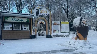 Пензенцам рассказали появится ли жираф в местном зоопарке