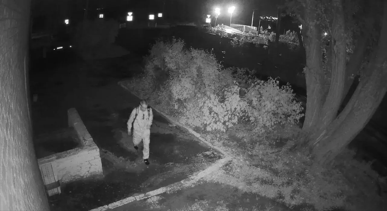 В Пензенской области задержали мужчину, который пытался изнасиловать 28-летнюю девушку