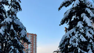 В Пензе 26 февраля ожидается пасмурная погода и мороз до −9 градусов