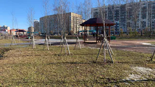 В Пензе у монумента «Глобус» были высажены туи