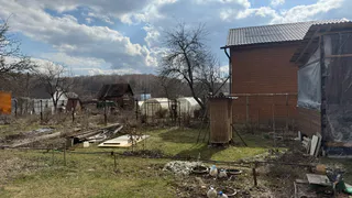 Карбид и сода не нужны: бросаю пучок ботвы в выгребную яму и глазам не верю — вонь исчезает, а вода уходит без откачки
