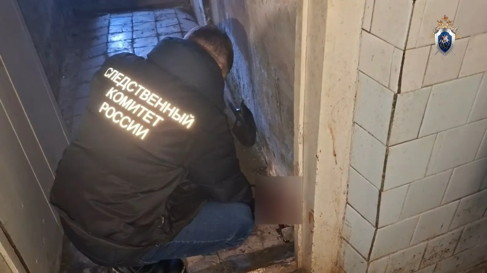Убийство и покушение на убийство: жительницу Пензенского района осудили на 11 лет