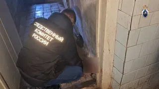 Убийство и покушение на убийство: жительницу Пензенского района осудили на 11 лет