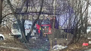 В Пензе большегруз насмерть сбил женщину на Тепличной