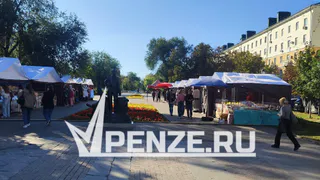 «Почему в сквере торгуют низкокачественными трусами, консервами и специями?»: пензенца возмутила ярмарка в центре города