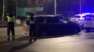 Автовладельцев предупредили: лишатся 100 000 рублей за 20 дней за езду без ОСАГО. Совсем скоро
