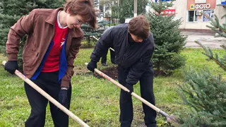 В Пензе у торгового центра на улице Суворова высадили десять елей