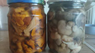 Супер маринад для грибов на зиму: никакого кислого вкуса, стоят в банках до весны свежие, как только что собранные
