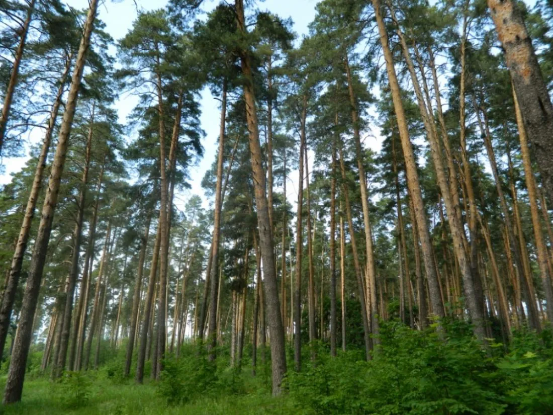 Ахуны получили статус регионального курорта через суд