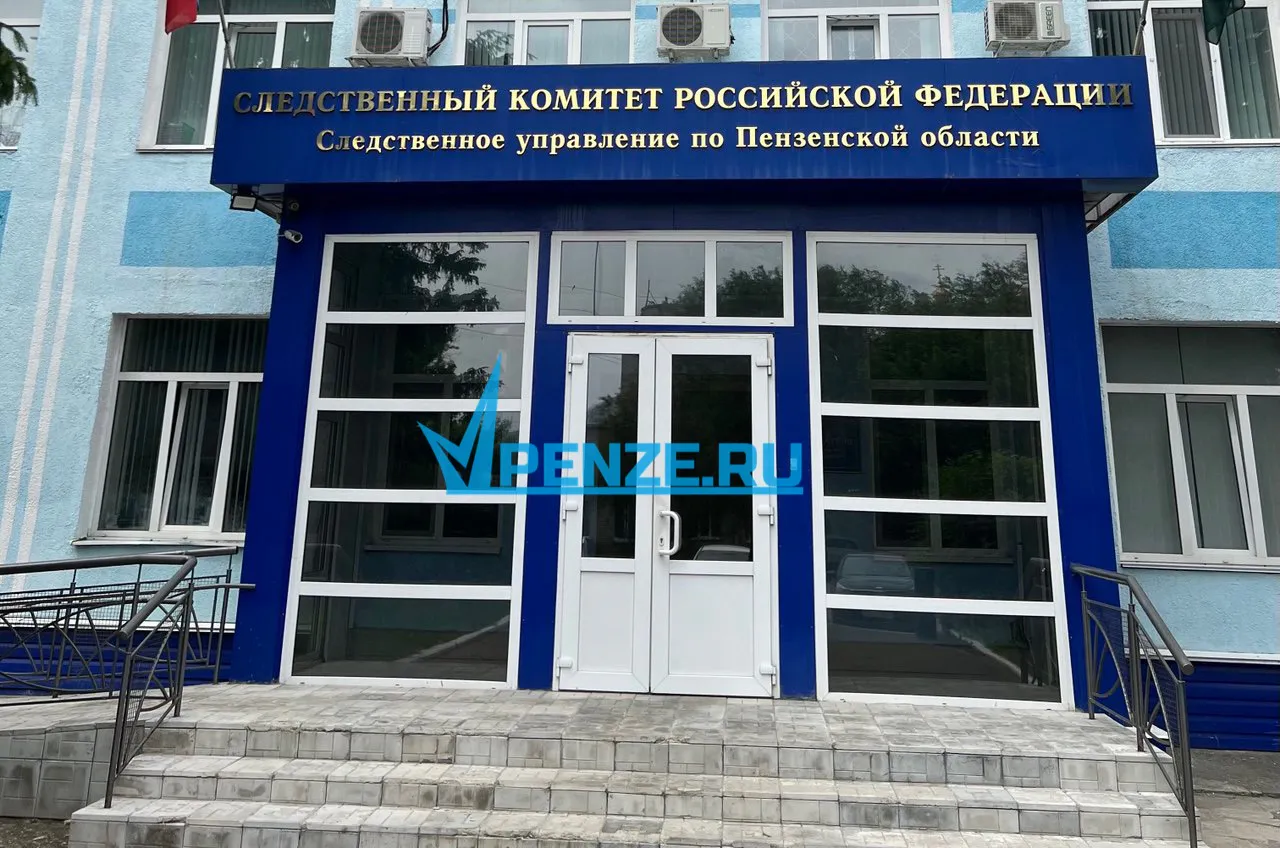 Следователи инициировали расследование из-за сообщений о нападении собак на жительницу Пензы