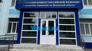 Следователи инициировали расследование из-за сообщений о нападении собак на жительницу Пензы