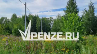 Да будет свет! На освещение поселка Ласточкино гнездо выделили свыше 11 млн рулей