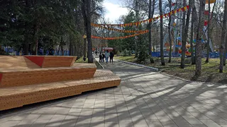Власти Пензы намерены на Московской спилить деревья