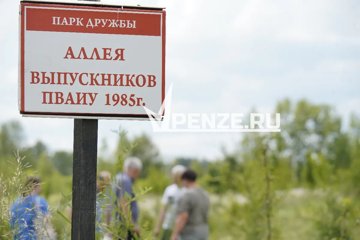 В Пензе появилась аллея деревьев в честь выпускников Пензенского артучилища