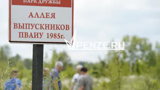 В Пензе появилась аллея деревьев в честь выпускников Пензенского артучилища