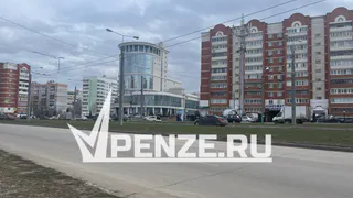 «Это настоящая пытка звуком!»: жителей проспекта Строителей одолевает сигнал светофора по ночам