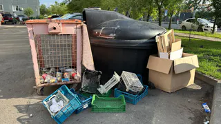 В Пензе горы мусора стали причиной появления вредителей