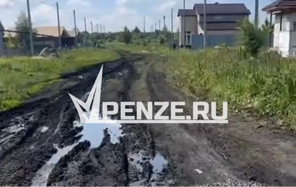 «Ни воды, ни света на улицах, ни инфраструктуры»: многодетные семьи из Пензы получили непригодные для жизни земли