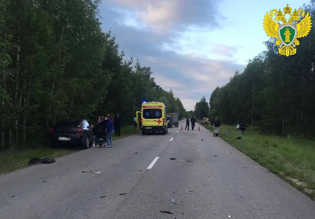 Под Пензой произошла трагедия: погиб ребенок
