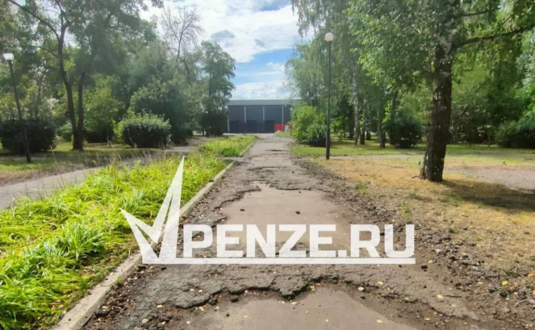 «Получается, что мы, жители Шуиста, второсортные?»: пензенцы просят спасти сквер «Дружбы»