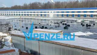 Пострадавший от разлива битума пензенец выиграл в суде 3 млн рублей