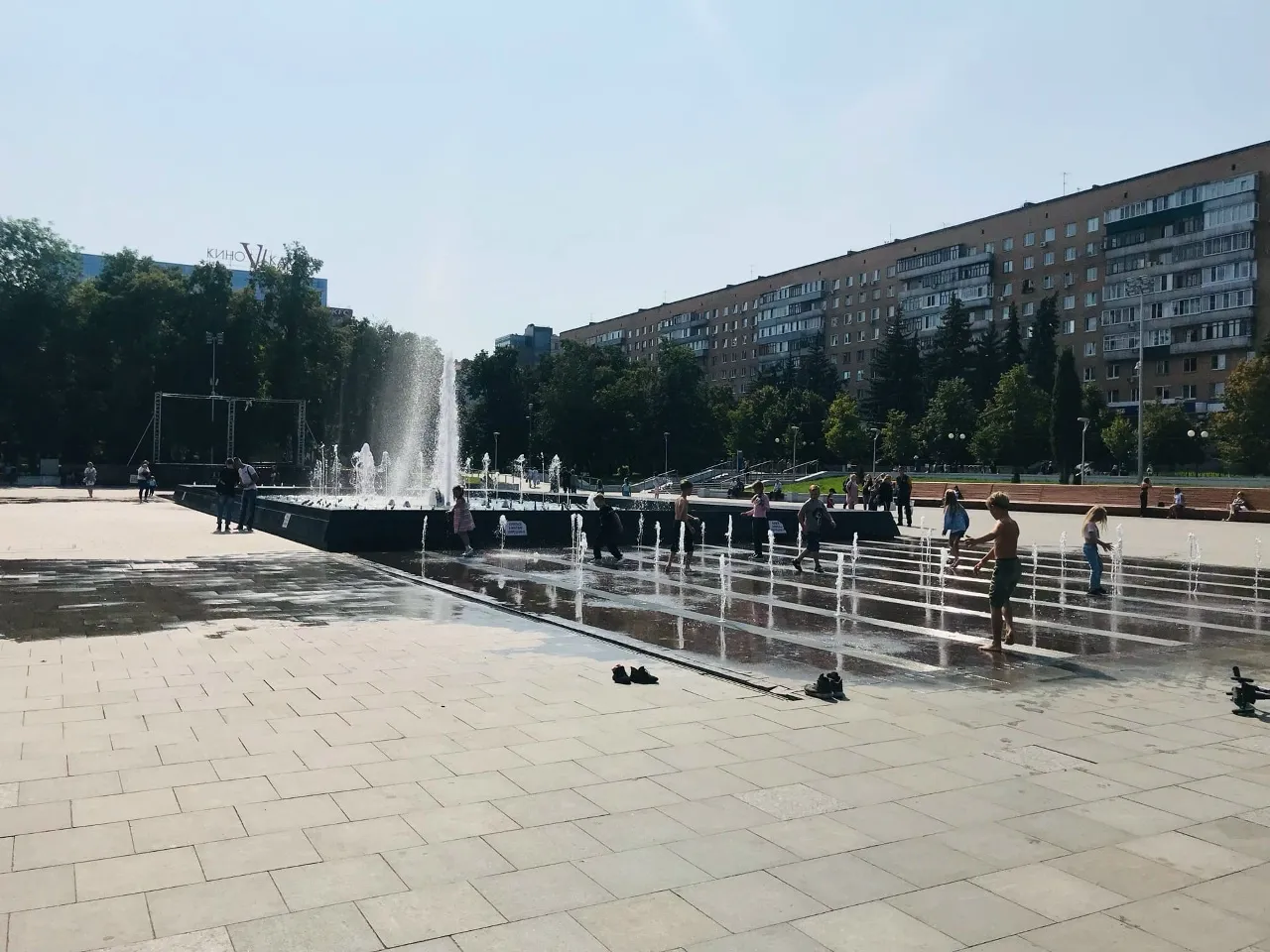 Три совы, изъятые у уличных фотографов в Пензе, находятся в тяжелом состоянии