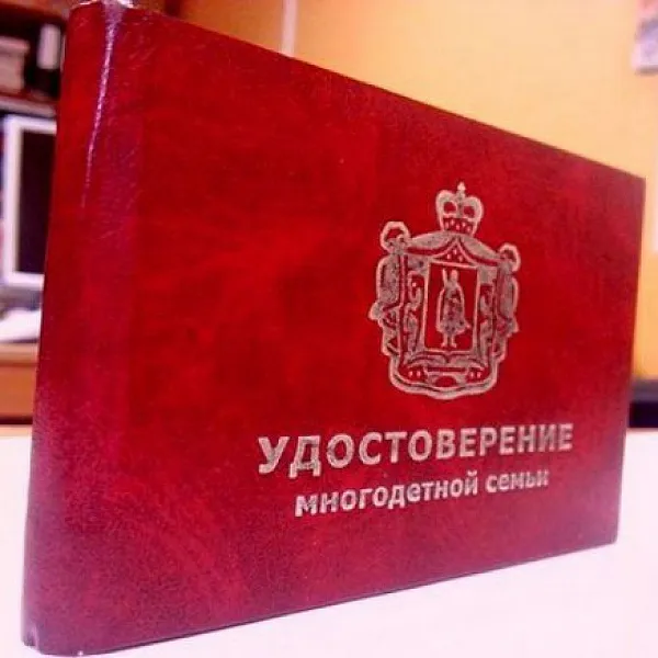 Пензенская область расширяет программу поддержки многодетных семей