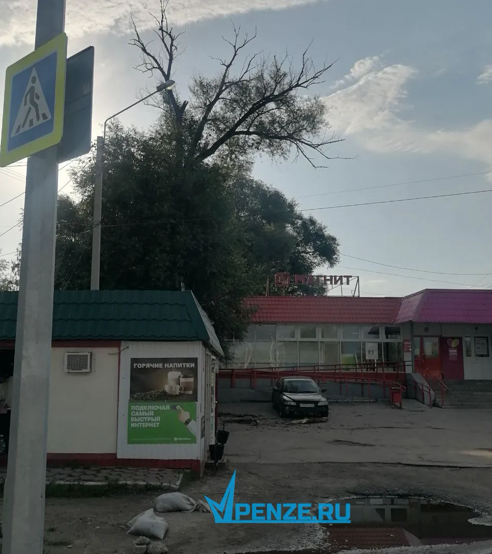 В Ахунах из-за сильных порывов ветра в районе остановки «Магазин Сосны» рухнула 3-метровая ветка дерева