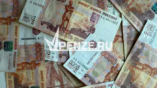 Руководитель пензенской фирмы дал взятку чиновнику и подставил все предприятие