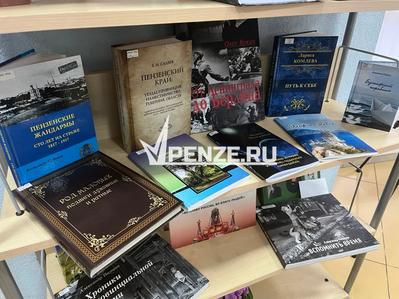 Пензенцев приглашают отметить День защиты детей на «Литературном привале»