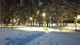 В 2026 году в Пензенской области будет благоустроено 48 общественных территорий
