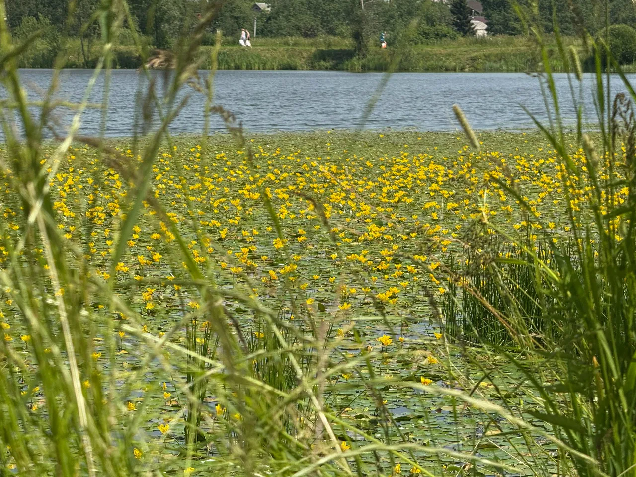 Пензенских школьников в лагерях обучат поведению на воде и дорогах