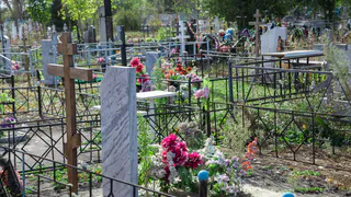 За 7 месяцев 2023 года в Пензенской области умерло более 10 тысяч человек