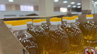 Ученые назвали самое полезное масло для жарки: не оливковое, не подсолнечное и в разы полезнее льняного