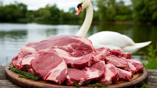 Почему охотники не едят лебедя, хотя там много мяса. Гусей же едят. Что не так с этой птицей
