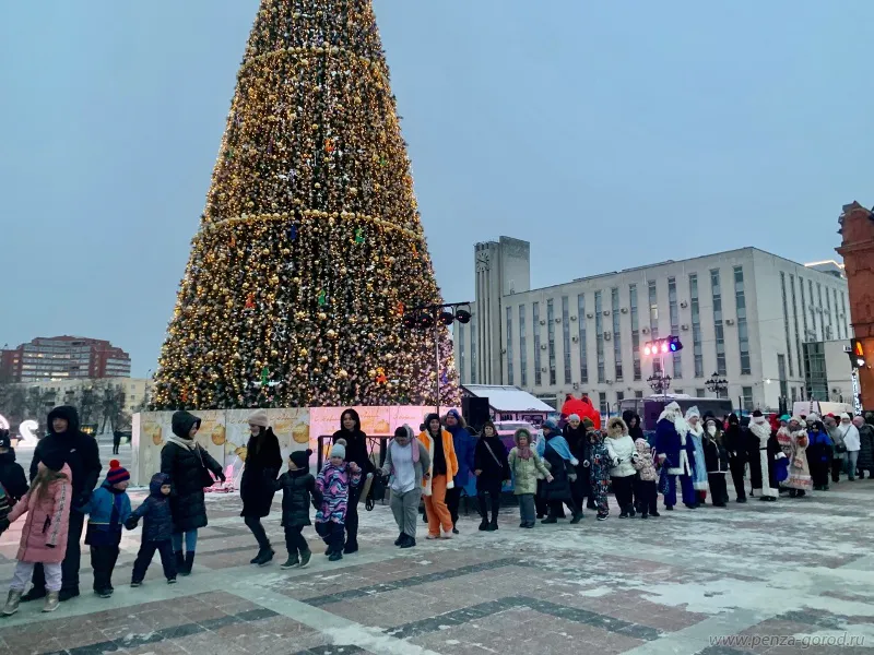 Мэрия Пензы отчиталась об украшении города к 2024 году