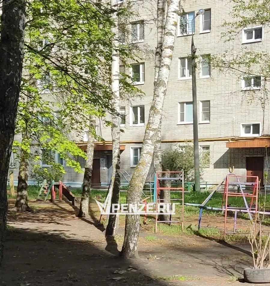 Достучаться до губернатора: жители улицы Мира два года бьются за благоустройство детской площадки