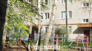 Достучаться до губернатора: жители улицы Мира два года бьются за благоустройство детской площадки