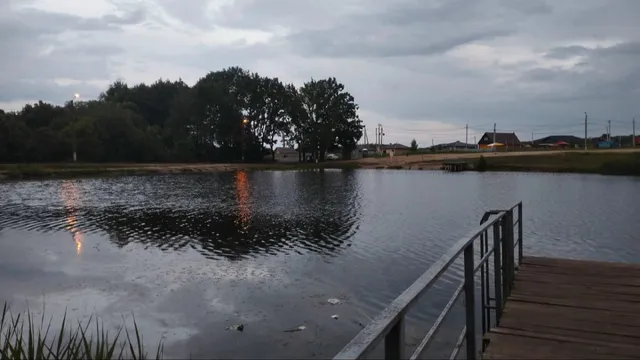 Пензенцам назвали пять признаков опасных для купания водоемов