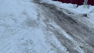 Под Пензой спасатели ночью вывели из леса трёх потерявшихся людей