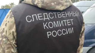 В Сердобске 16-летнего жителя Липецкой области обвиняют в мошенничестве на 2 млн рублей