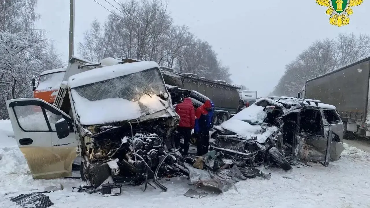 Суд вынес приговор водителю микроавтобуса за смертельное ДТП на трассе М5 «Урал»