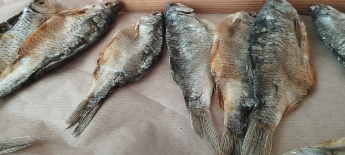 В Пензенской области выявили десятки нарушений на водоёмах