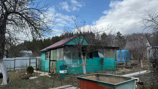 Как мы заработали 100 тысяч в месяц в деревне без напряга: городские друзья обзавидовались - начали и себе дом присматривать        