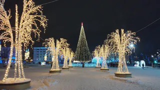 Выпадет ли снег к Новому году 2026 — синоптик Позднякова дала точный прогноз