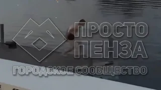 Прыжок в Суру: неделя моды в Пензе вновь завершилась заплывом зрителя